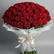 Букет 101 Красная роза Блэк Мэджик в Старая Ведуге