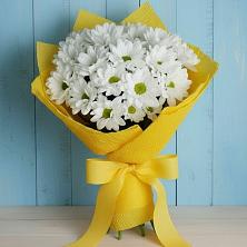 Букет цветов из:  Хризантемы в Старая Ведуге