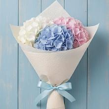 Букет цветов из:  Гортензия в Старая Ведуге