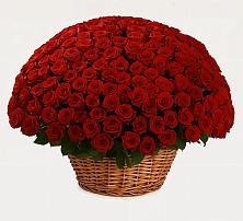 Премиум букет из: Розы в Старая Ведуге