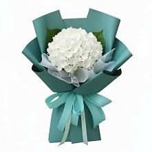 Букет цветов из:  Гортензия #REPLACE_PRED# Старая Ведуге